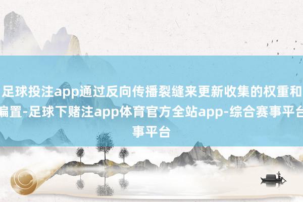 足球投注app通过反向传播裂缝来更新收集的权重和偏置-足球下赌注app体育官方全站app-综合赛事平台