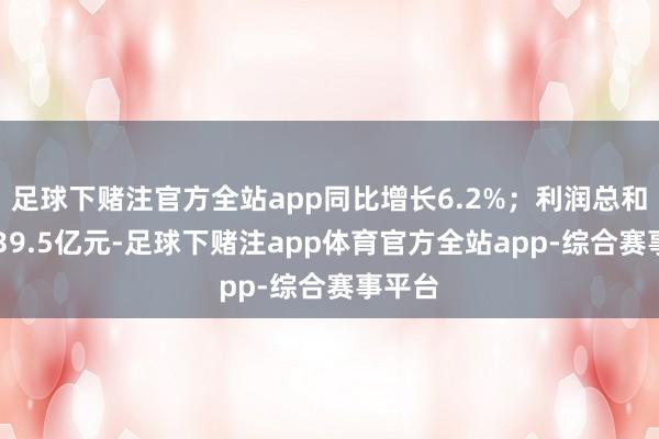 足球下赌注官方全站app同比增长6.2%；利润总和为1039.5亿元-足球下赌注app体育官方全站app-综合赛事平台