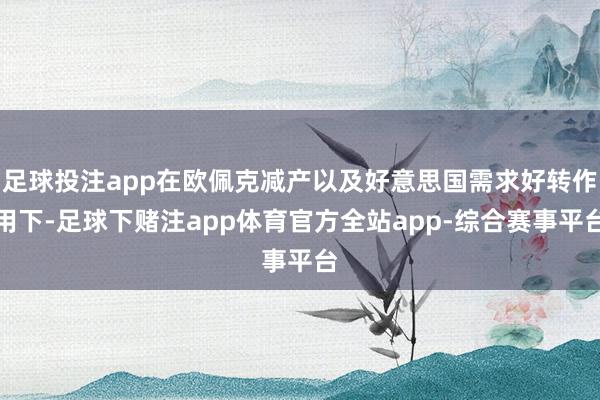 足球投注app在欧佩克减产以及好意思国需求好转作用下-足球下赌注app体育官方全站app-综合赛事平台