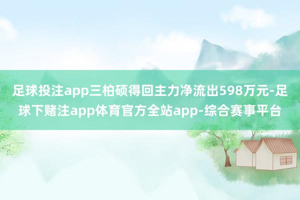 足球投注app三柏硕得回主力净流出598万元-足球下赌注app体育官方全站app-综合赛事平台