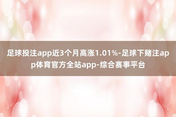 足球投注app近3个月高涨1.01%-足球下赌注app体育官方全站app-综合赛事平台