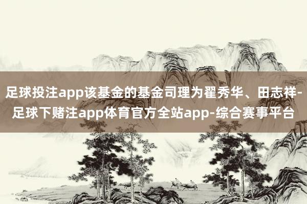 足球投注app该基金的基金司理为翟秀华、田志祥-足球下赌注app体育官方全站app-综合赛事平台