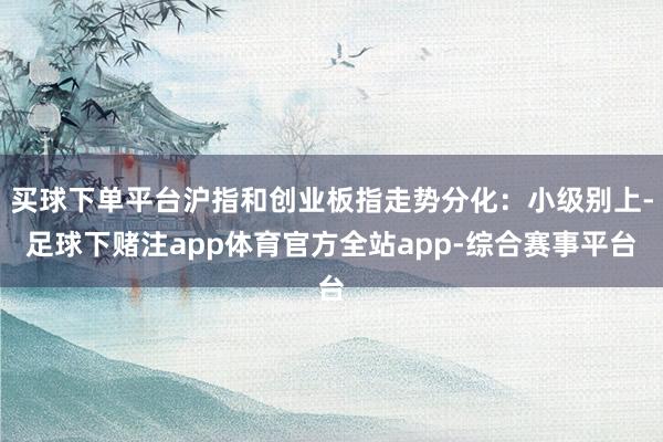 买球下单平台沪指和创业板指走势分化：小级别上-足球下赌注app体育官方全站app-综合赛事平台