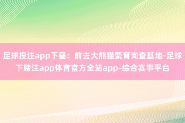 足球投注app下昼：前去大熊猫繁育询查基地-足球下赌注app体育官方全站app-综合赛事平台