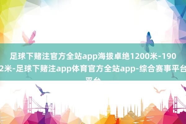 足球下赌注官方全站app海拔卓绝1200米-1902米-足球下赌注app体育官方全站app-综合赛事平台