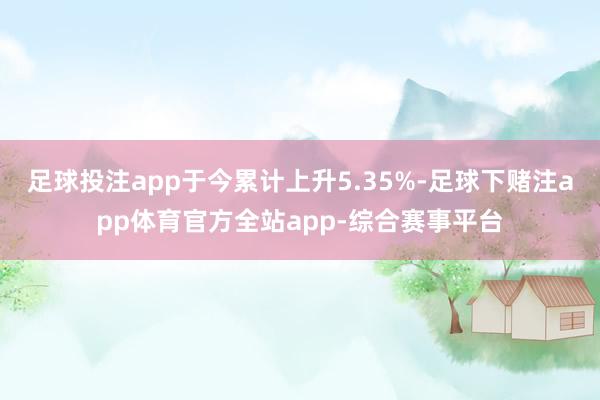 足球投注app于今累计上升5.35%-足球下赌注app体育官方全站app-综合赛事平台