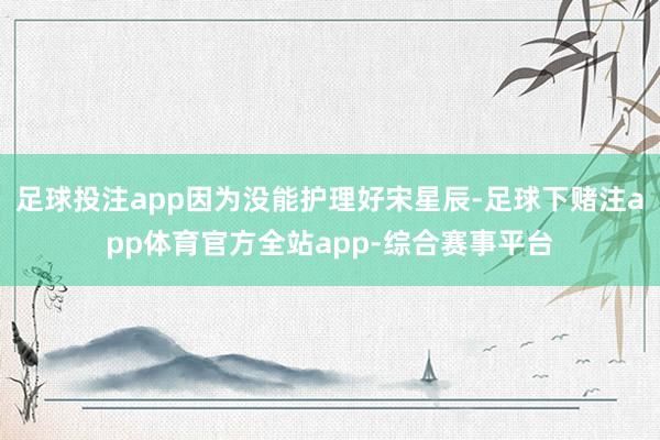 足球投注app因为没能护理好宋星辰-足球下赌注app体育官方全站app-综合赛事平台