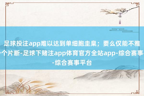 足球投注app难以达到单细胞圭臬；要么仅能不雅测一个片断-足球下赌注app体育官方全站app-综合赛事平台