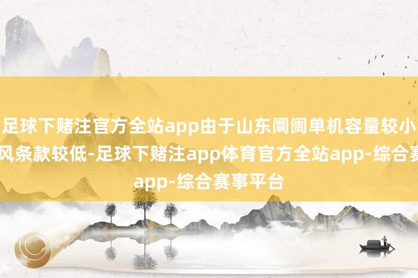 足球下赌注官方全站app由于山东阛阓单机容量较小 、抗台风条款较低-足球下赌注app体育官方全站app-综合赛事平台