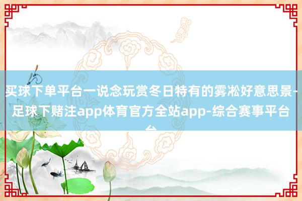 买球下单平台一说念玩赏冬日特有的雾凇好意思景-足球下赌注app体育官方全站app-综合赛事平台