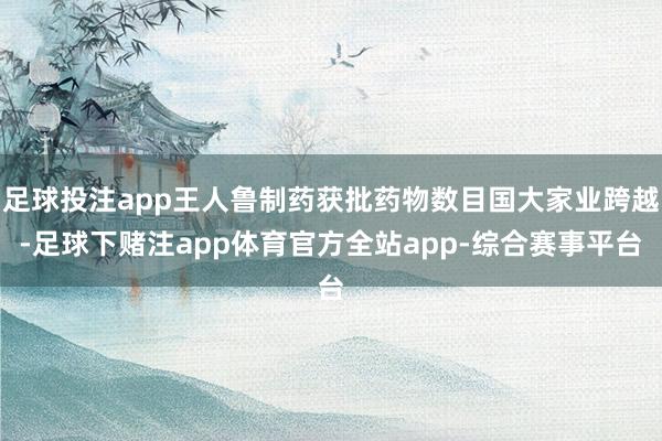 足球投注app王人鲁制药获批药物数目国大家业跨越-足球下赌注app体育官方全站app-综合赛事平台